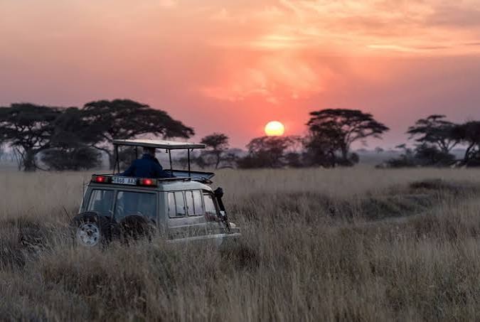 Safari na África do Sul ao Pôr do Sol